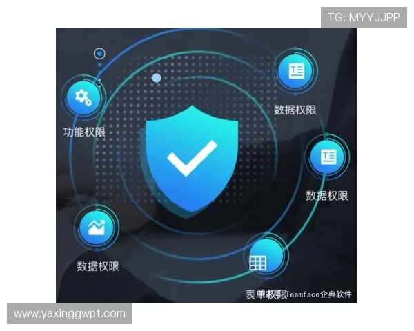 亚星登录管理网：用户账户安全防护与登录权限设置指南