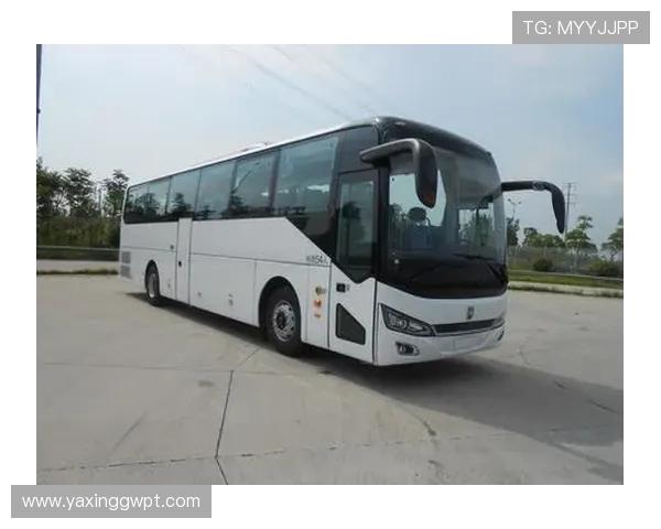 亚星YBL6148H2QP2客车公告详细内容，帮助用户了解车辆配置与使用指南