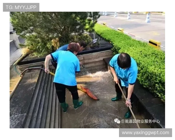 亚星国际嘉园物业电话投诉与建议渠道，保障业主权益提升物业服务质量