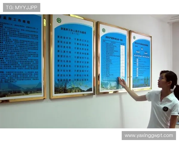 亚星在线官网登录入口安全指南,教你识别正规入口保障账号安全