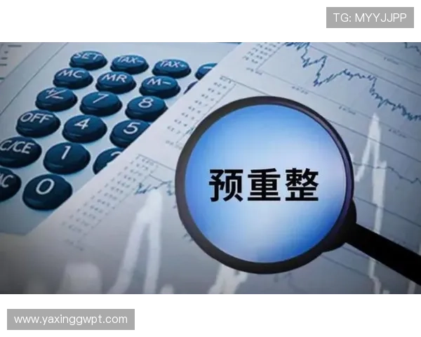 亚星官网平台入口2024年最新版本登录流程与注意事项